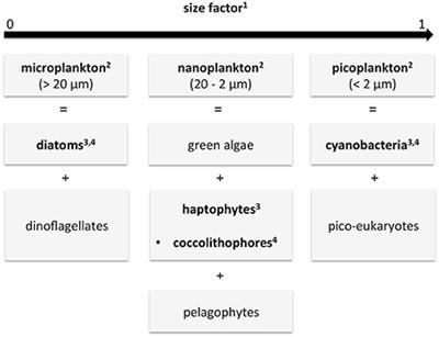 Synergistic Exploitation of Hyper- and Multi-Spectral Precursor Sentinel Measurements to Determine Phytoplankton Functional Types (SynSenPFT)